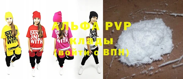 хмурый Абаза