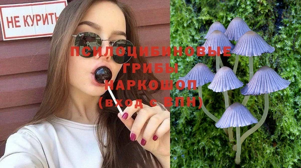 ешки Абинск