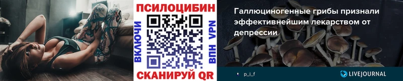 Псилоцибиновые грибы ЛСД Алдан